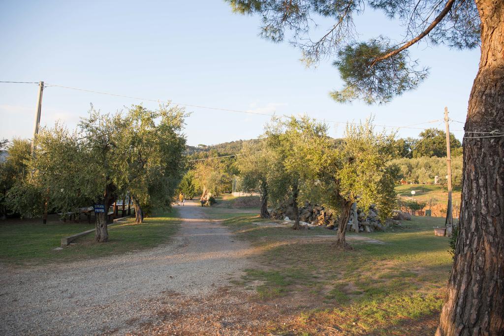 Agriturismo Poggetto Larciano Exterior photo